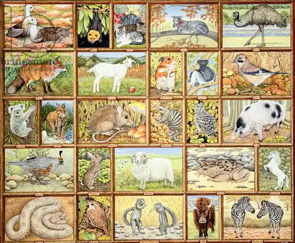 Ditz: Alphabetical Animals