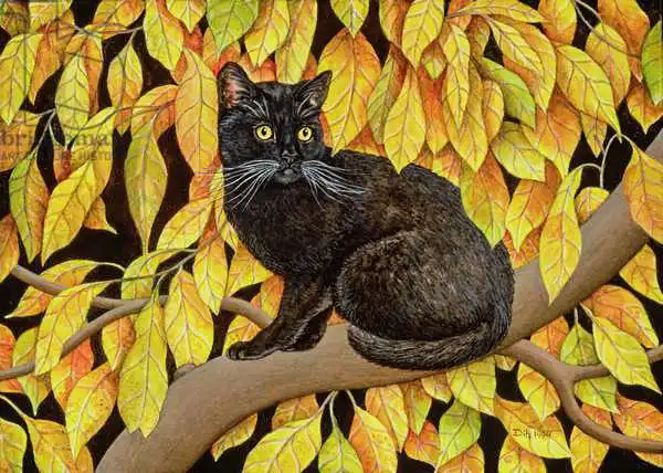 Ditz: Autumn Leaves
