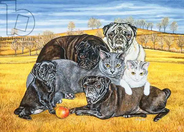 Ditz: Hocking County Pug-Cats