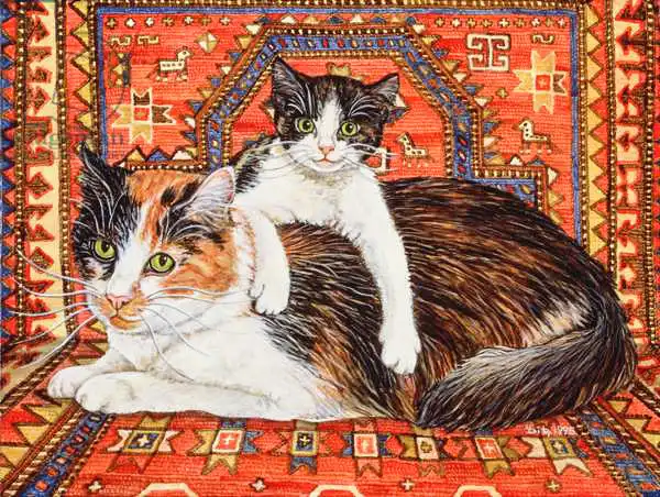 Ditz: Kit-Cat-Carpet