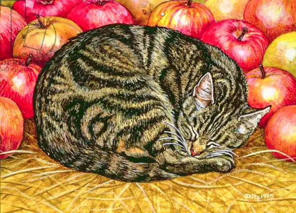 Ditz: Left-Hand Apple-Cat