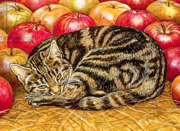 Ditz: Right-Hand Apple-Cat