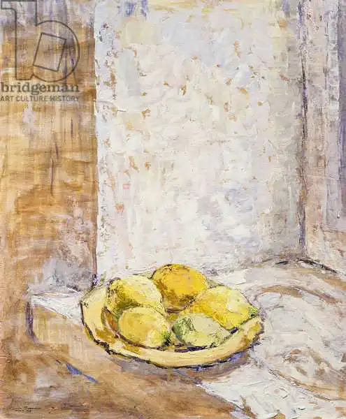 Schofield, Diana: Lemons on the window sill