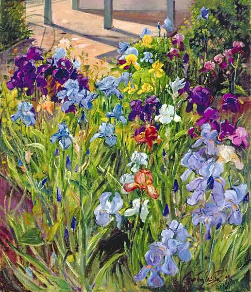 Easton, Timoth: Iris et ombres de maison d