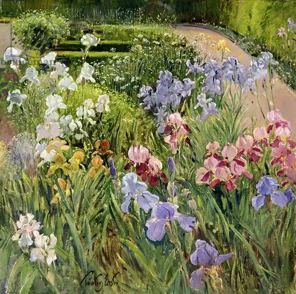 Easton, Timoth: Irises at Bedfield