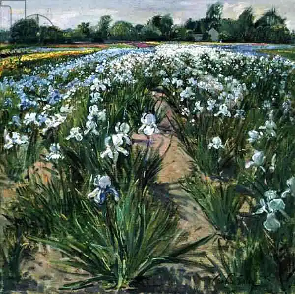 Easton, Timoth: Patchwork, Wortham