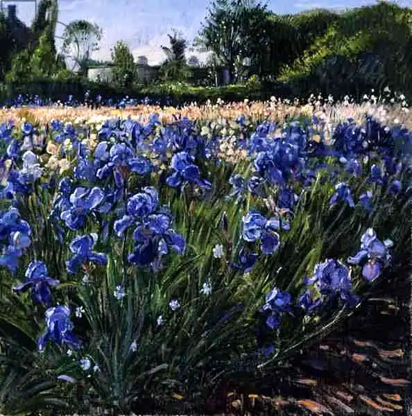 Easton, Timoth: Above the Blue Irises