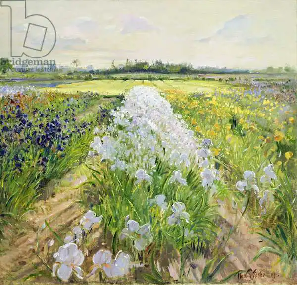 Easton, Timoth: Down the Line