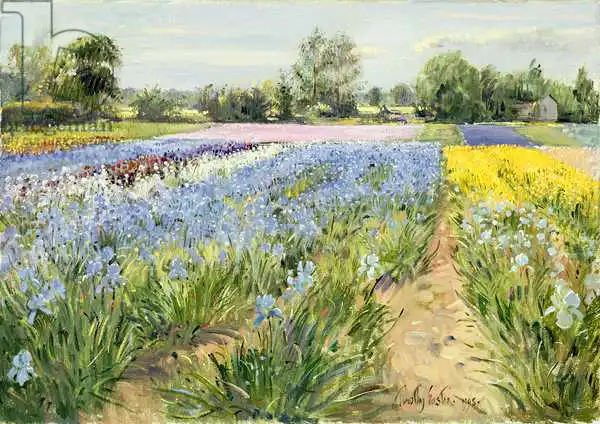 Easton, Timoth: Floral Chessboard