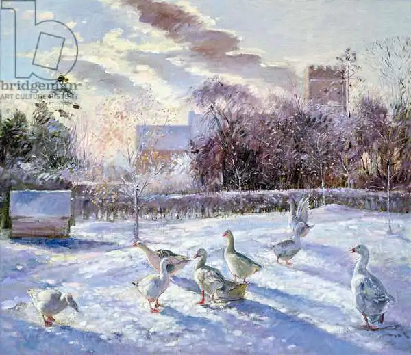 Easton, Timoth: Winter Geese in Church Meadow