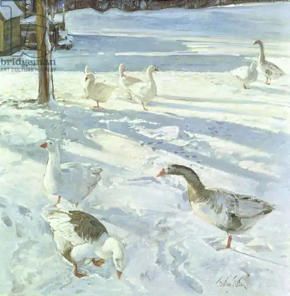 Easton, Timoth: Alimentadores de nieve
