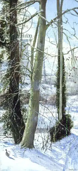 Easton, Timoth: Trois arbres en hiver