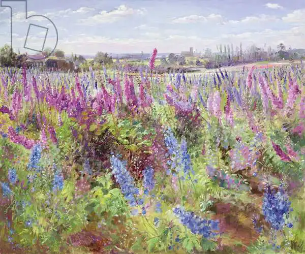 Easton, Timoth: Delphinium Field and Church