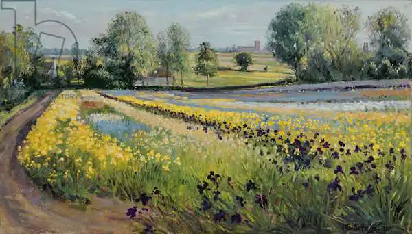 Easton, Timoth: Iris Slope