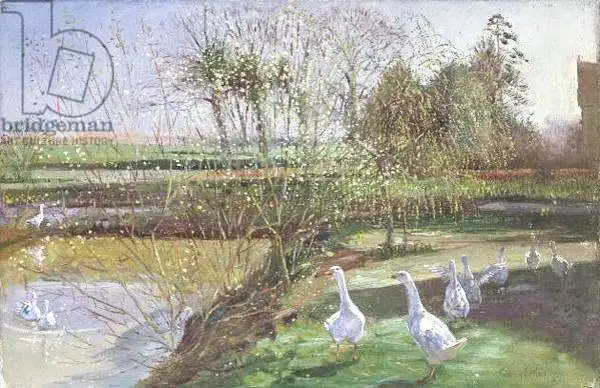 Easton, Timoth: Weiden und Gänse