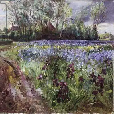 Easton, Timoth: Iris Field, Rassemblement des tempêtes