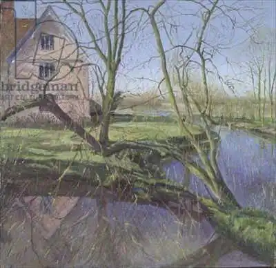 Easton, Timoth: Saule germé
