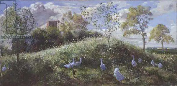 Easton, Timoth: Mount in May