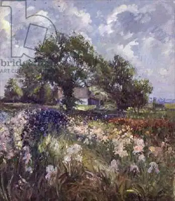 Easton, Timoth: Granero Blanco y Campo de Iris