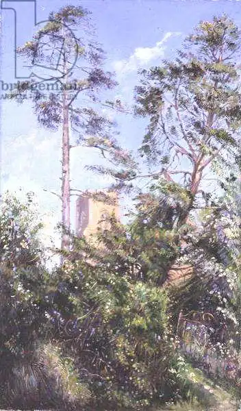Easton, Timoth: Pino y Torre