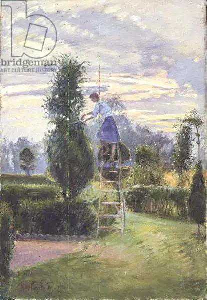 Easton, Timoth: The First Trim