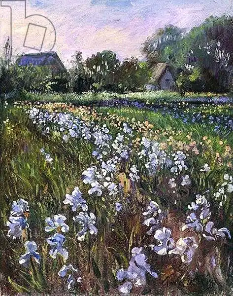 Easton, Timoth: White Irises and Farmstead