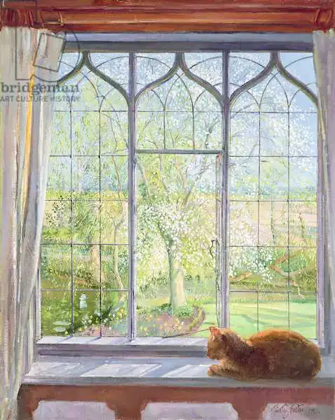 Easton, Timoth: Fenêtre au printemps