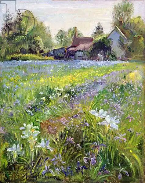 Easton, Timoth: Iris et chalet nains