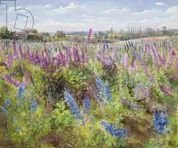 Easton, Timoth: Delphiniums y amapolas