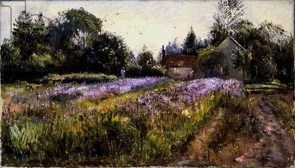 Easton, Timoth: Iris Field et l