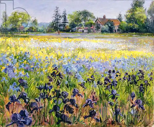 Easton, Timoth: Irises and Two Fir Trees