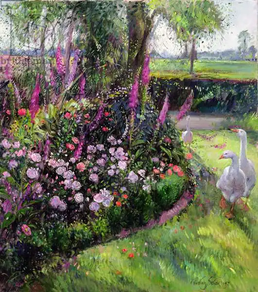 Easton, Timoth: Rose Bed and Geese