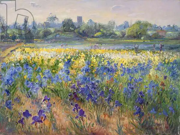 Easton, Timoth: Blue Haze at Burgate