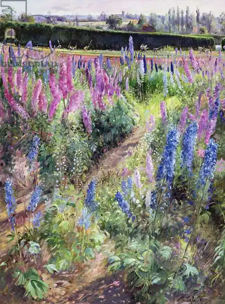 Easton, Timoth: Delphiniums and Hoers