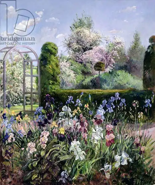 Easton, Timoth: Irises in the Formal Gardens