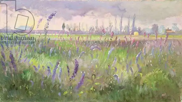 Easton, Timoth: Delphiniums, Storm passing