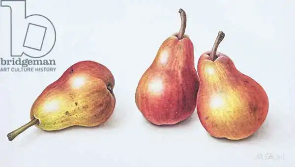 Eden, Margaret Ann: Red Pears