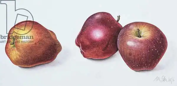 Eden, Margaret Ann: Red Apples