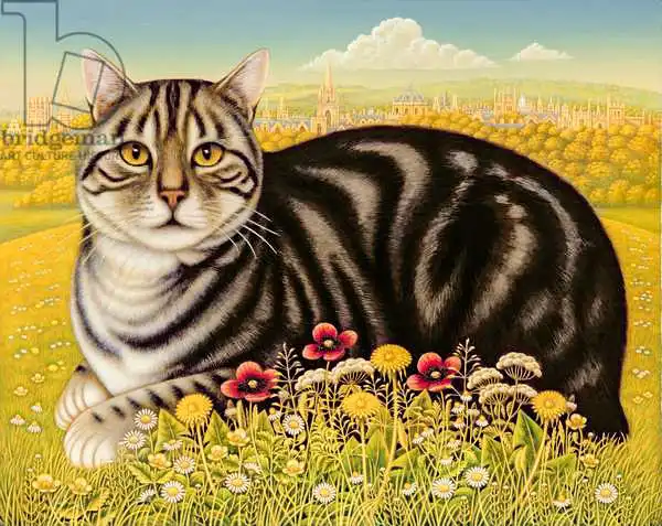 Broomfield, Frances: The Oxford Cat