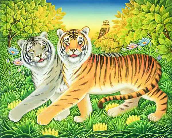 Broomfield, Frances: Tyger/Tyger