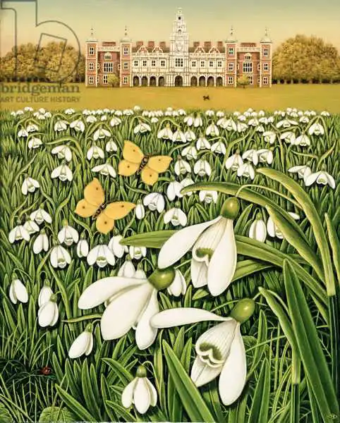 Broomfield, Frances: Snowdrop Day, Hatfield House