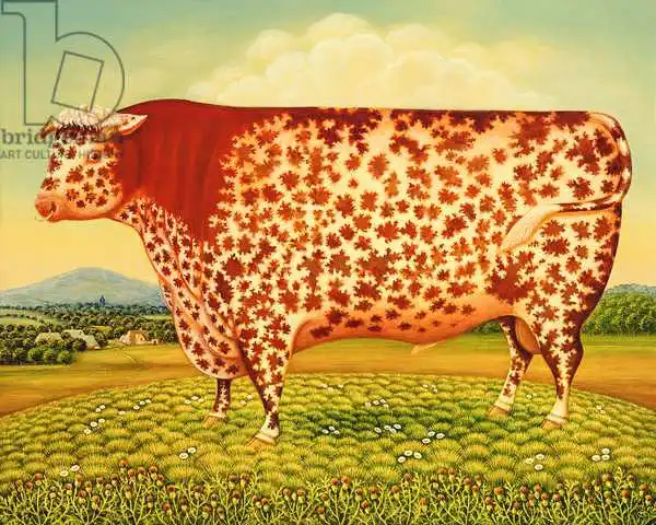 Broomfield, Frances: The Great Bull