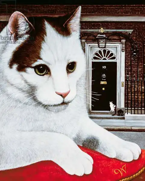 Broomfield, Frances: Wilberforce, the Number 10 Cat