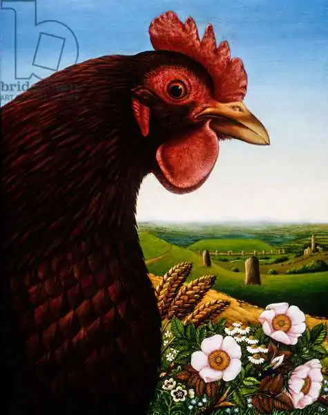 Broomfield, Frances: Music of a Lost Kingdom (Big Chicken)