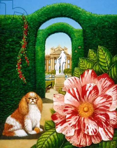 Broomfield, Frances: Rosa Mundi