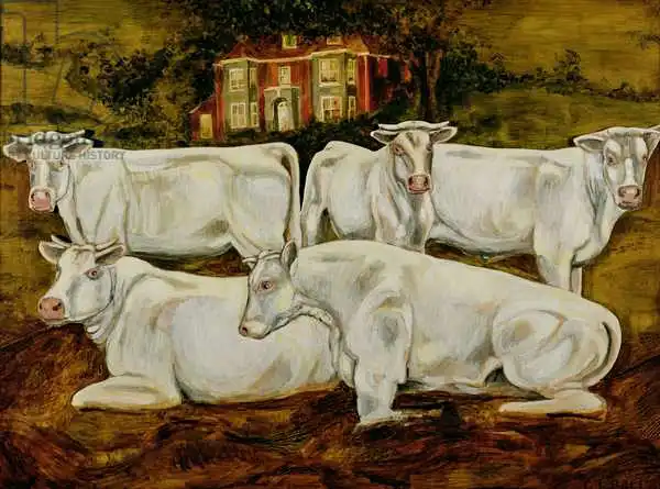 Ball, Gareth Lloyd: Charolais Bulls, Dippenhall, Farnham