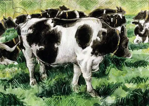 Ball, Gareth Lloyd: Friesian Cows
