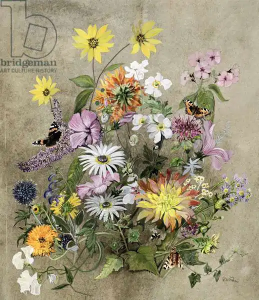 Gubbins, John: Summer Flowers