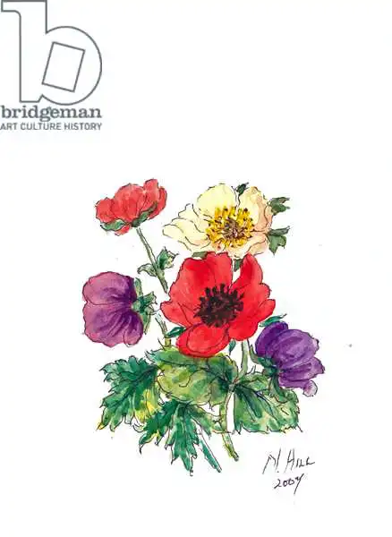 Hill, Nell: Anemones