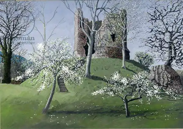 Parsons, Huw S.: Longtown Castle